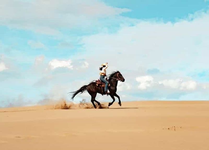 Billet Depuis Doha : Faites de l'équitation dans le désert du Qatar