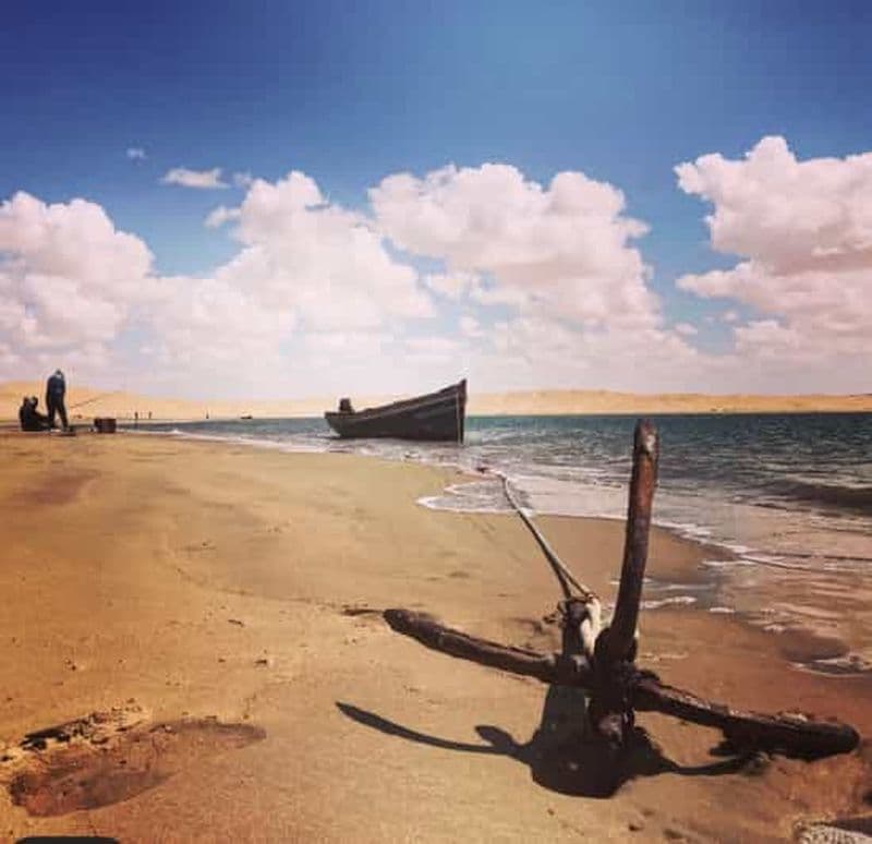 Unique : Pêche au Sahara + observation des oiseaux 5Jours 4Ns Road trip