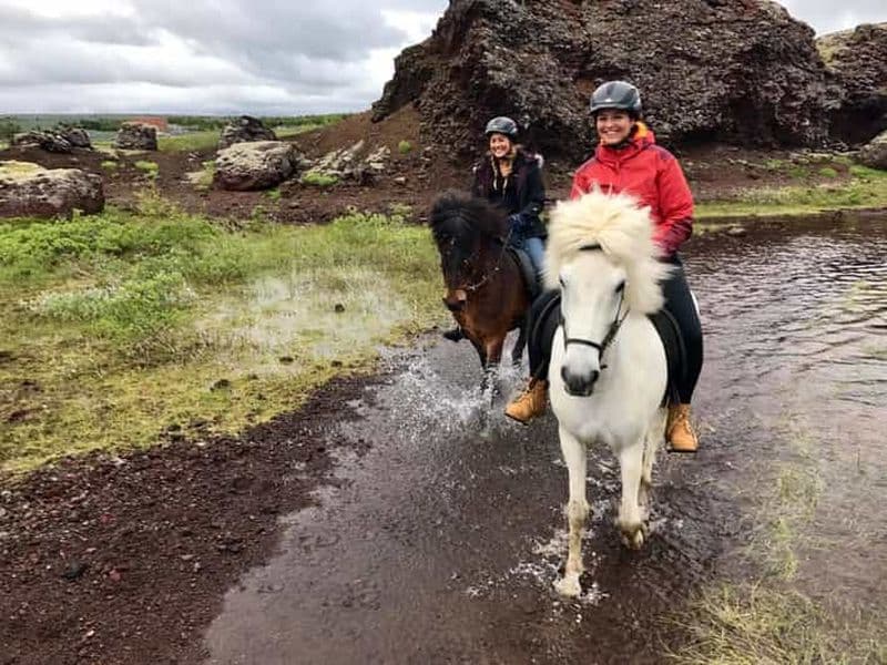 Reykjavik : Visite en petit groupe de l'après-midi à cheval à Mjölnir