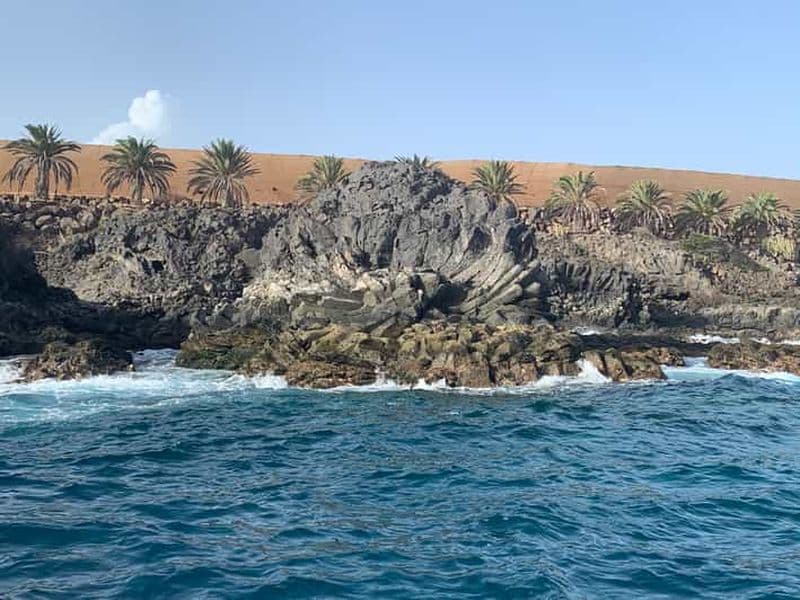 Tenerife : Excursion de snorkeling dans les langues de lave sous-marines