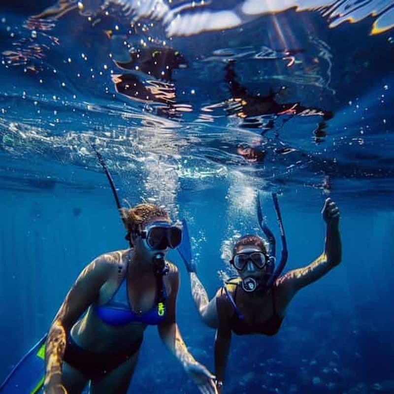 Pelican Rock : Expérience sous-marine SNUBA avec un guide