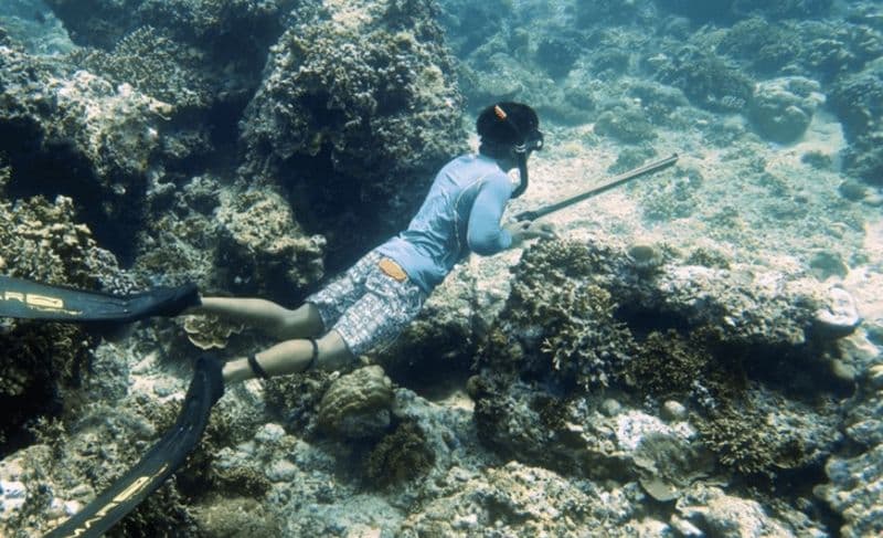Gili Air : Pêche au harpon et délicieuses prises fraîches