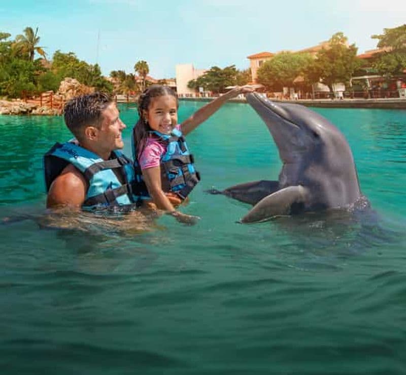 Puerto Aventuras : baignade avec les dauphins, lions de mer, lamantins et déjeuner