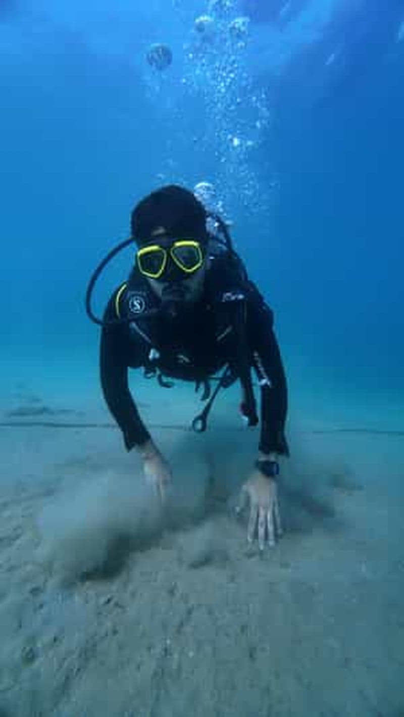 Qatar : Expérience de plongée sous-marine avec prise en charge et retour