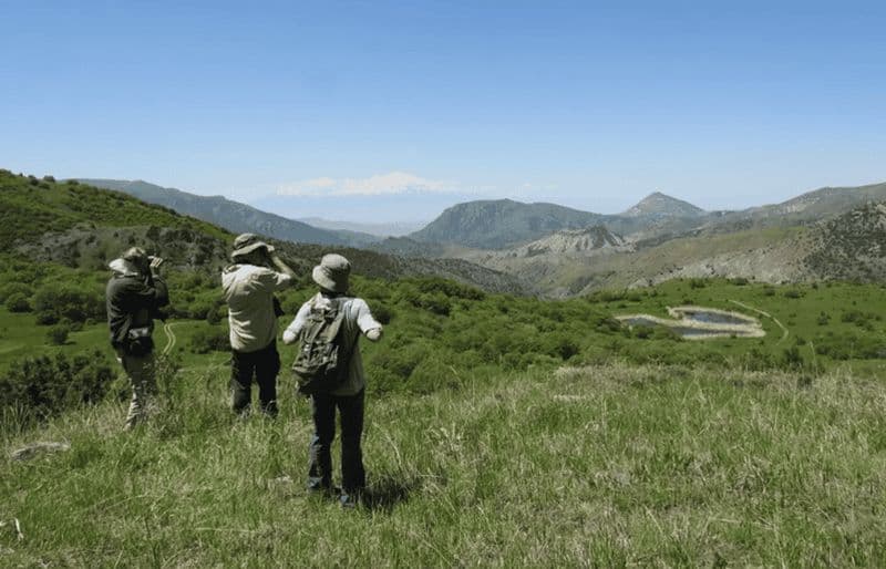 Depuis l'Arménie : aventure de 2 jours d'observation des oiseaux et de randonnée