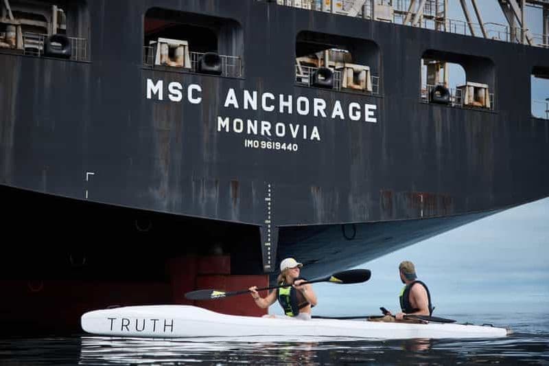 Billet Le Cap : Aventure en kayak avec les dauphins et la faune océanique ⚓️