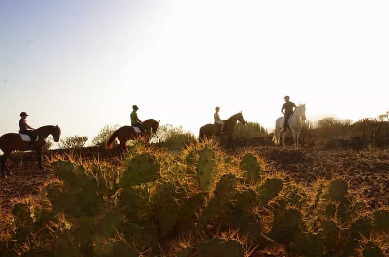 Tenerife : Randonnée à cheval avec instructeur