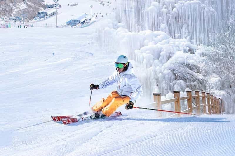 Séoul : Elysian Ski + Eobi Ice Valley + Nami