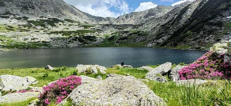 Parc national de Retezat : randonnée d'une journée complète au départ de Cluj-Napoca