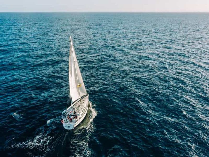 Tenerife : excursion en voilier, observation des baleines, repas et plongée avec tuba
