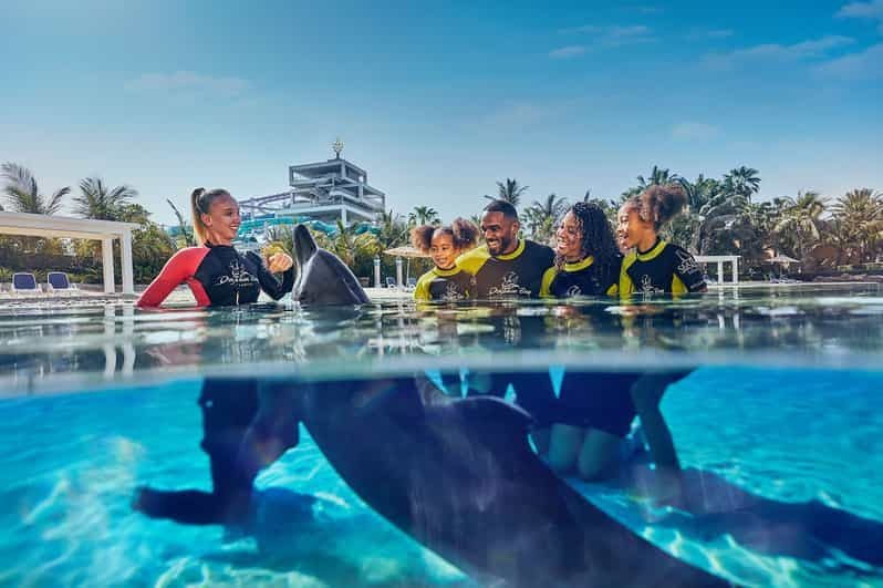 Billet Aquaventure World : pass journée parc aquatique + rencontre avec les dauphins