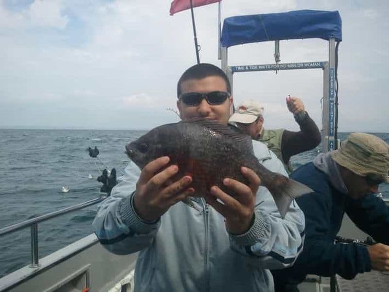 Brighton : sortie de pêche en mer de 4 heures avec équipement et boissons