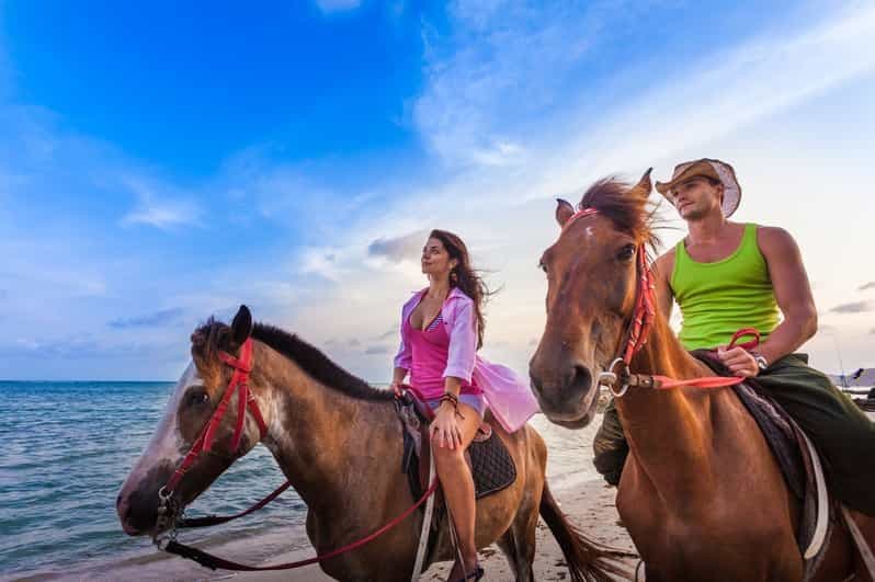 Billet Agadir : randonnée à cheval, visite de la rivière des flamants roses et dégustation de thé