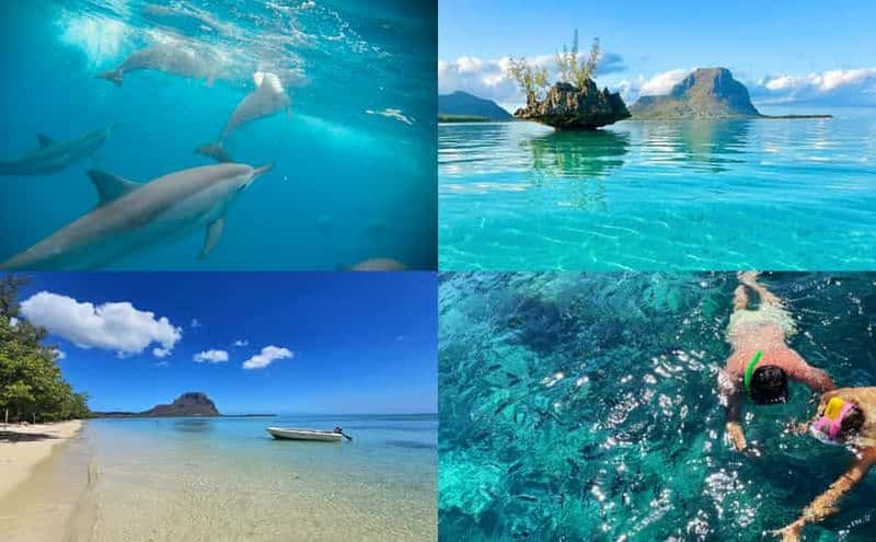 Billet Maurice : île Benitier - Nager avec les dauphins - Bateau à moteur et barbecue