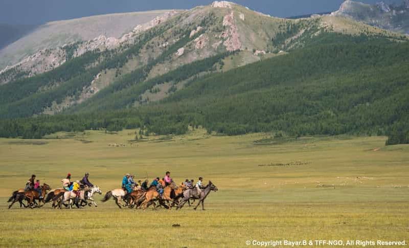 Billet Parc national de Terelj : Circuit avec équitation et randonnée