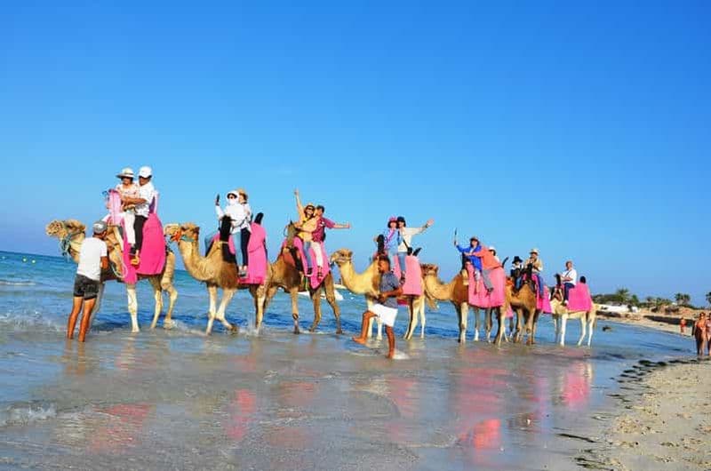 Billet Balade à dos de chameau et à cheval à Djerba : profitez du coucher de soleil dans le lagon bleu.