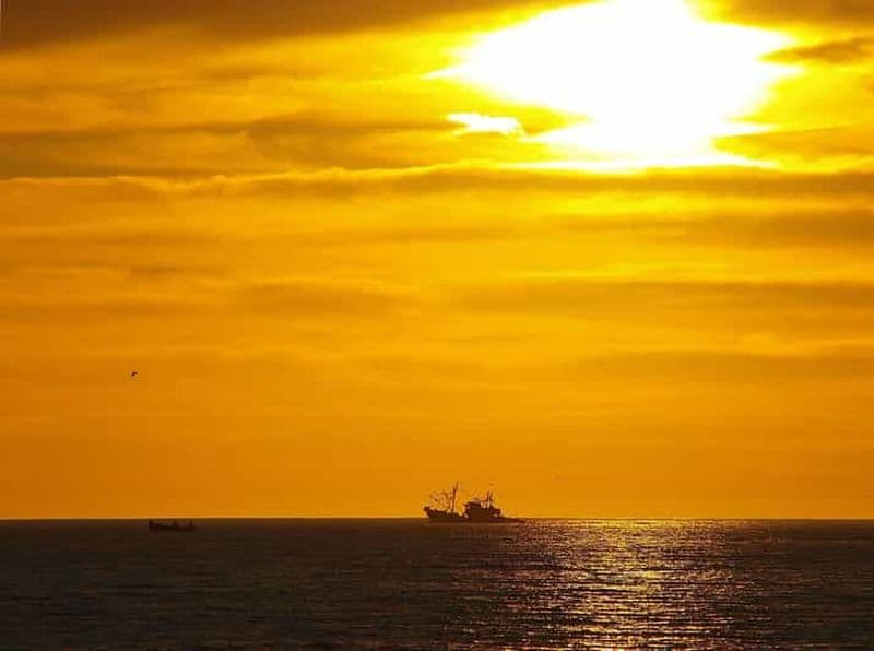 Agadir/Taghazout : canyon, dunes et sandboard avec barbecue