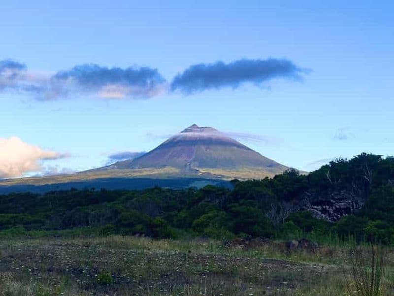 Pico : Découvrez Pico en 1 jour avec déjeuner et dégustation de vin