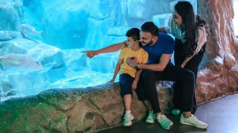 Barcelone : bus à arrêts multiples et visite de l'aquarium