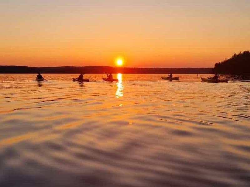 Stockholm : Excursion en kayak au coucher du soleil sur le lac Mälaren avec thé et gâteau