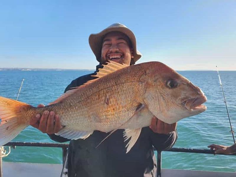 Auckland : sortie de pêche d'une journée complète (7 h - 16 h)