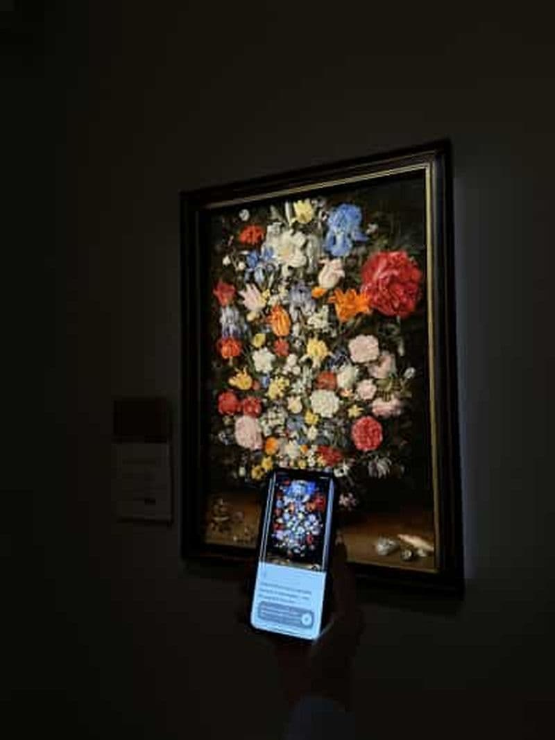 Audioguide de la Pinacothèque Ambrosienne