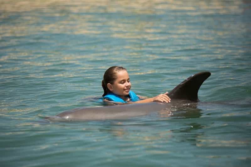 Punta Cancun : Nager avec les dauphins Harmony