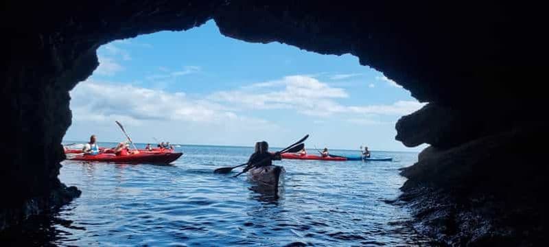 Torquay : safari en kayak à la découverte de la faune, de la nature sauvage et des grottes marines