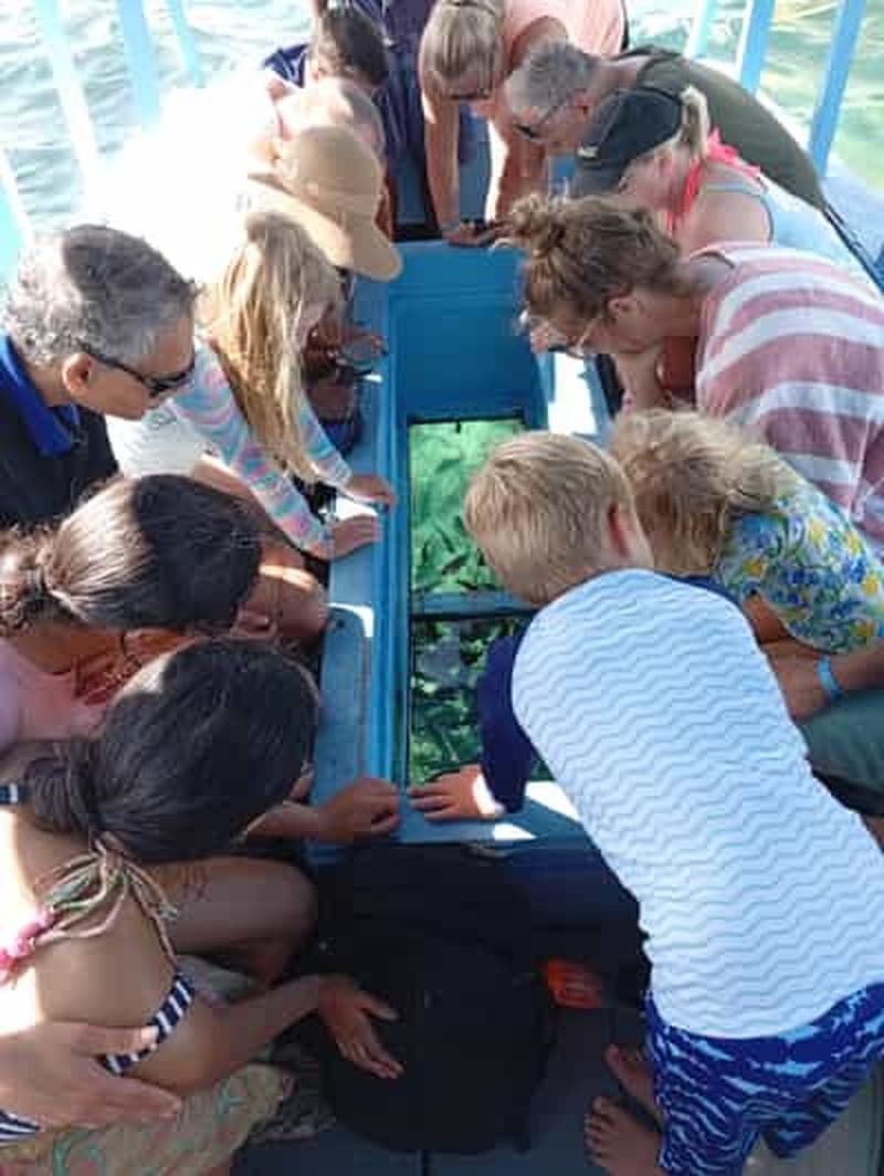 Plage de Diani : croisière en bateau à fond de verre vers l'île Robinson