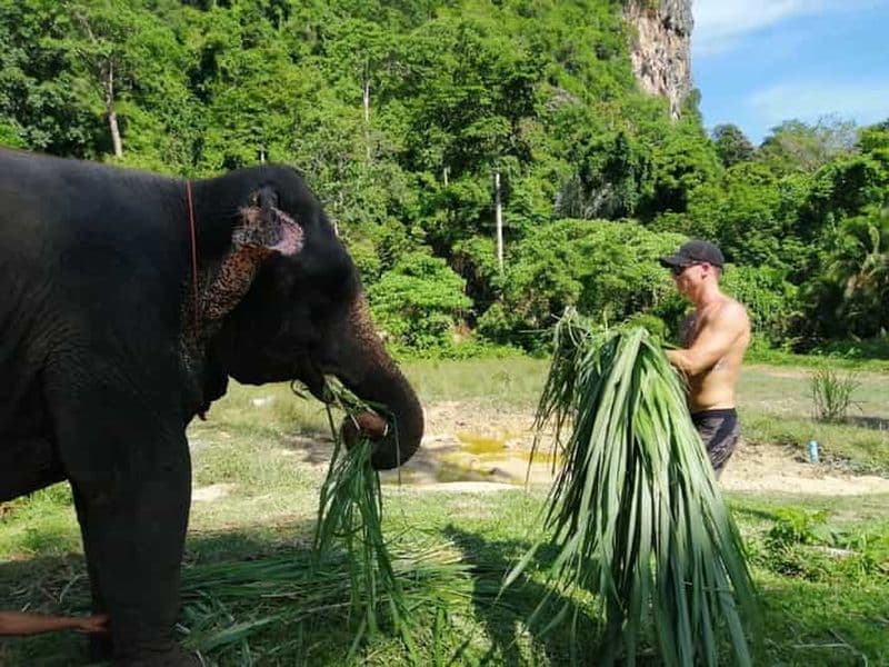 Krabi : Baignade à l'éléphant et aventure en quad