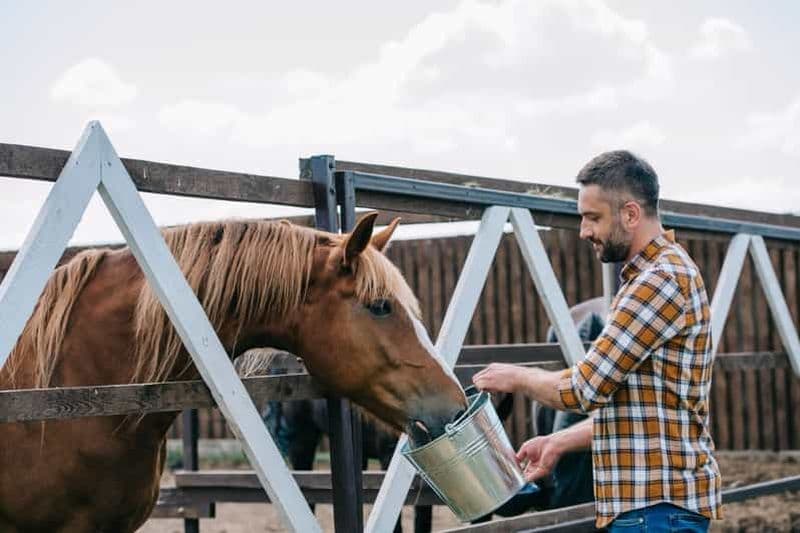 Randonnée à cheval dans les vallées + déjeuner