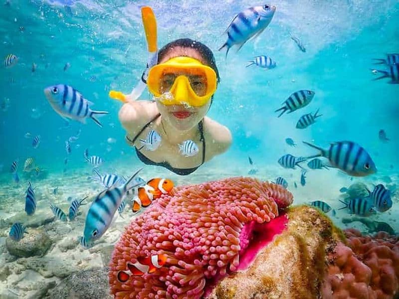Billet Snorkeling et Détente : Excursion à l'Île de Nemo depuis Pattaya