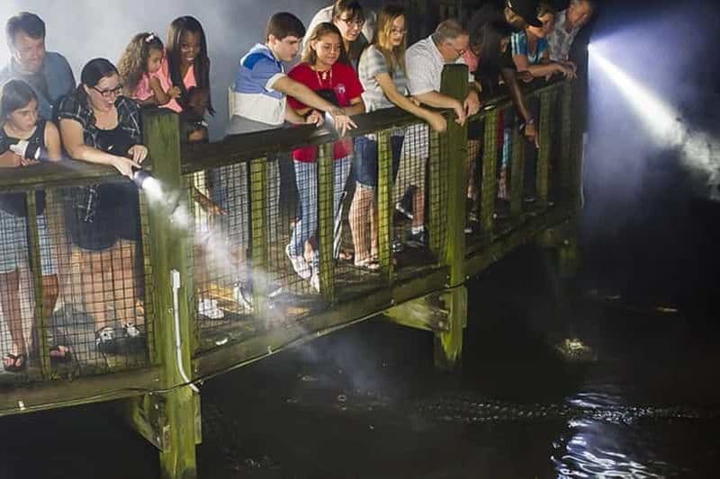 Billet Orlando: visite nocturne de la lampe de poche Gatorland