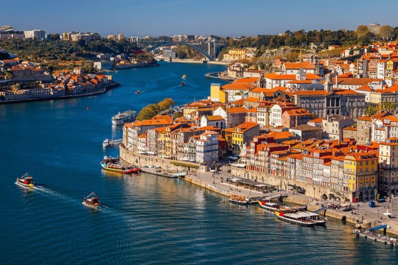 Billet Lisbonne : excursion privée d'une journée à Porto avec dégustation de vins