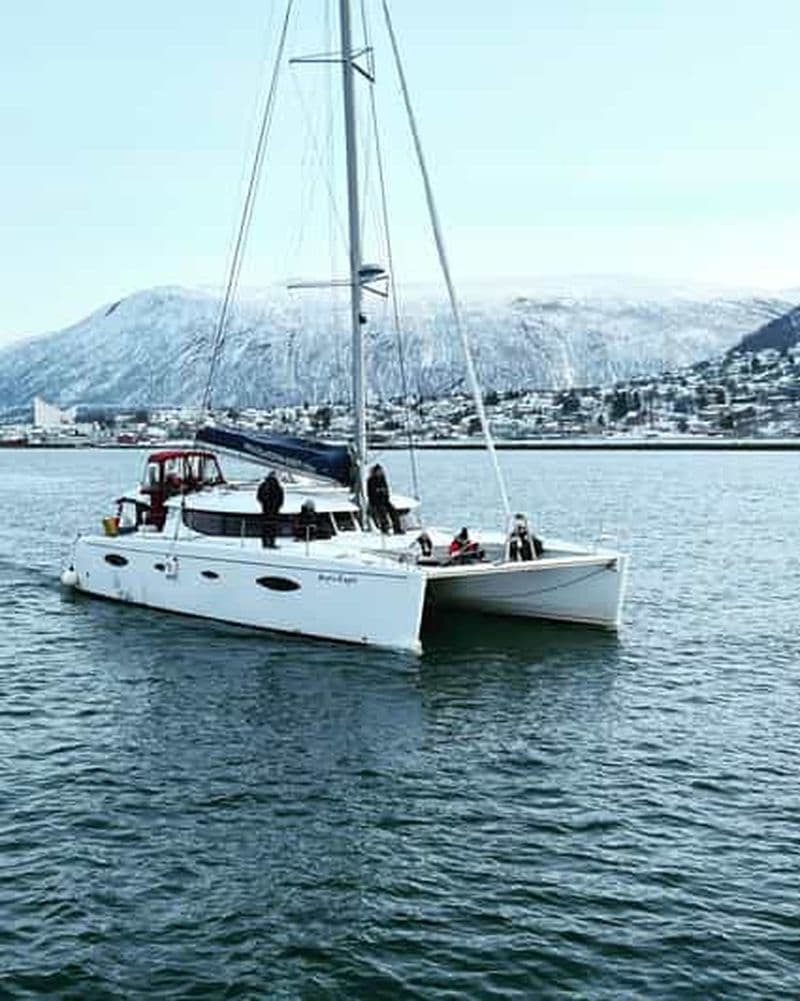 Tromsø : Croisière touristique dans le fjord arctique en catamaran de luxe