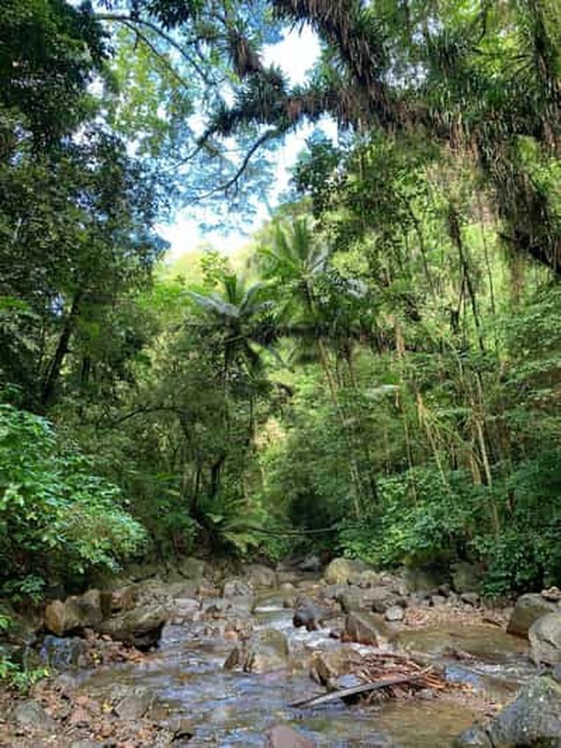 Randonnée en plein air Martinique
