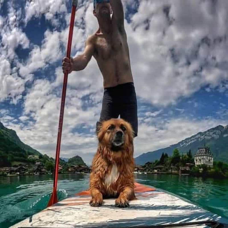 Iseltwald : Cours privé de SUP + Brunch