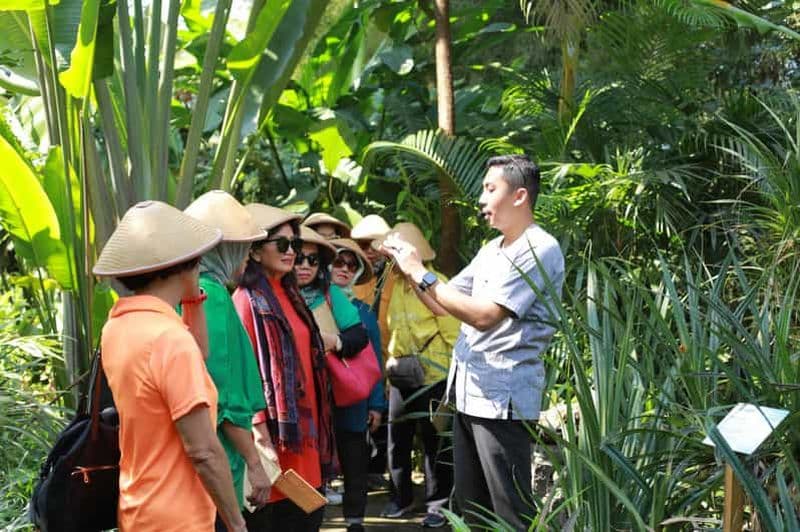 Yogyakarta/Magelang : temple de Selogriyo et tissage