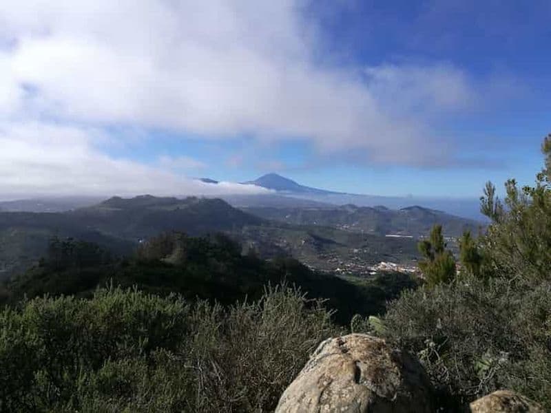 Santa Cruz de Tenerife : Randonnée de 2 heures dans la forêt d'Anaga