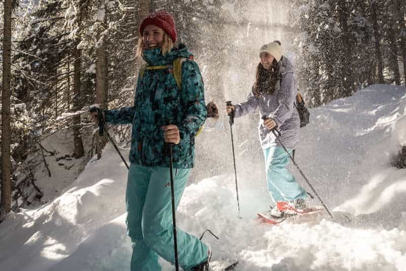 Au départ d'Interlaken : Randonnée en raquettes sur le sentier Wetterhorn
