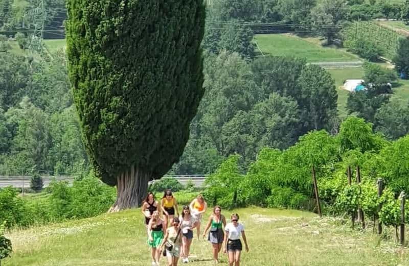 Visite d'un domaine viticole biologique avec dégustation de vins et de produits locaux à Bologne