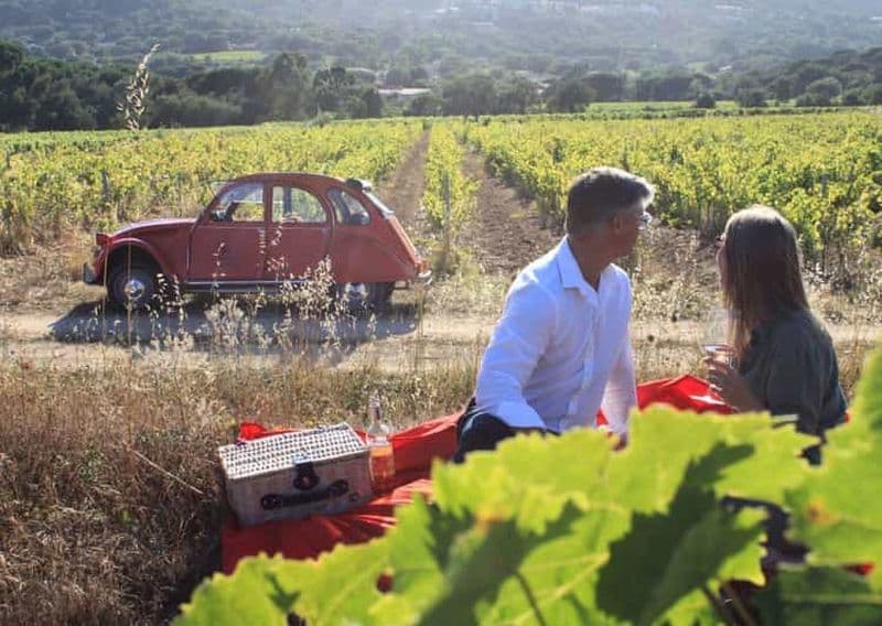Saint-Tropez : Visite des vignobles en voiture ancienne