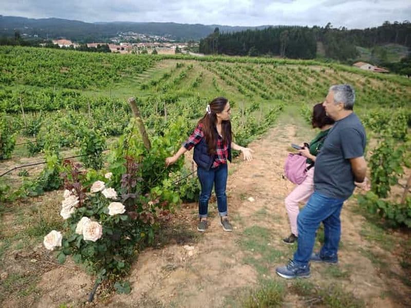 Au départ de Coimbra : la route des vins du Dão