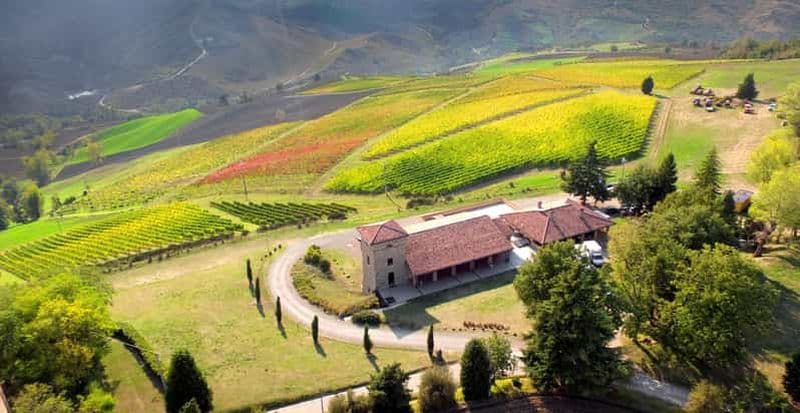 Billet Tenuta Bonzara - Visite et dégustation de vins sur les Collines de Bologne