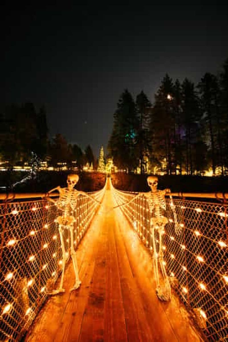 Billet Pont suspendu de Capilano, Canyon Lights et 4 temps forts