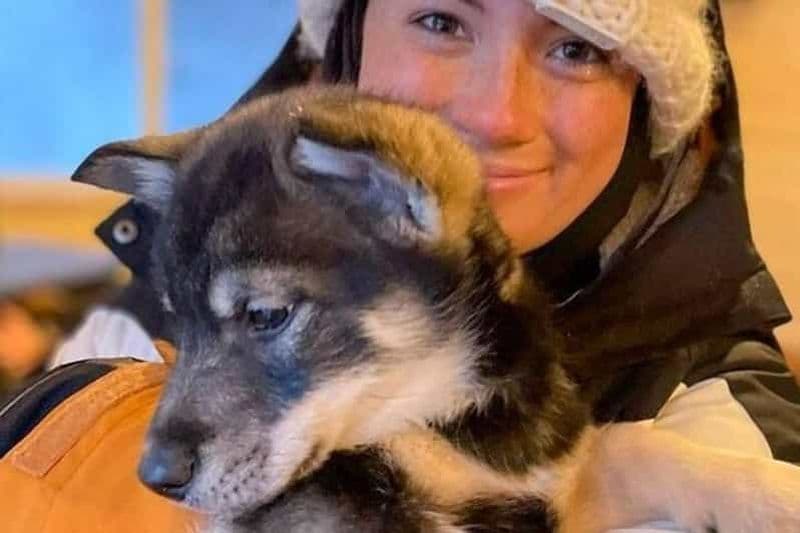 Traîneau à chiens et aventures animalières – Prise en charge au mouillage