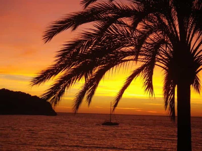Martinique : Snorkeling de nuit : Vivez la magie des récifs et des étoiles