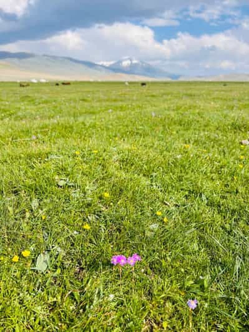 Meilleur trekking en Mongolie