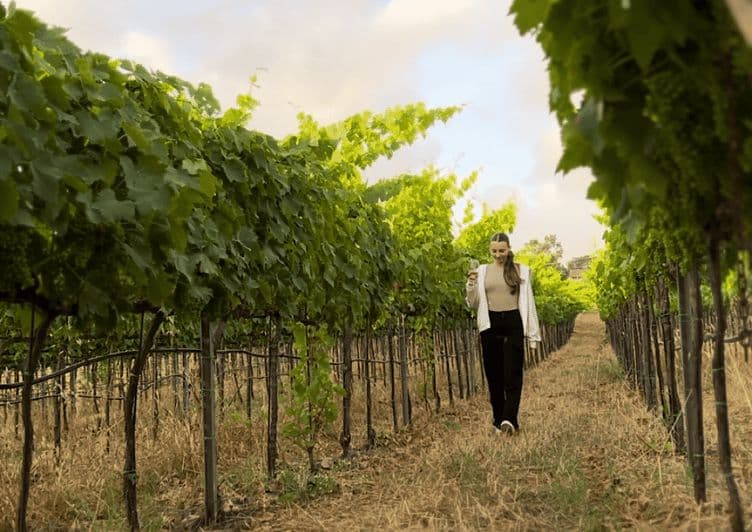 Billet Tropea : Dégustation de vins et de mets