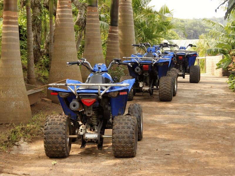 Billet Djerba : Safari en quad sur l'île